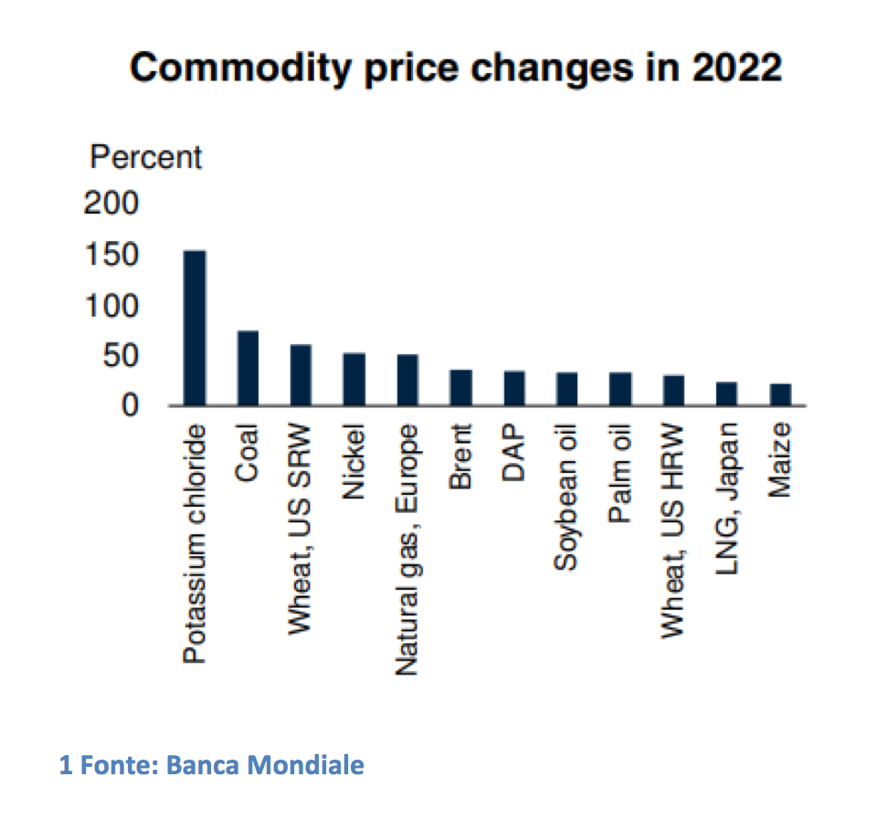 cambio dei prezzi delle commodity nel 2022