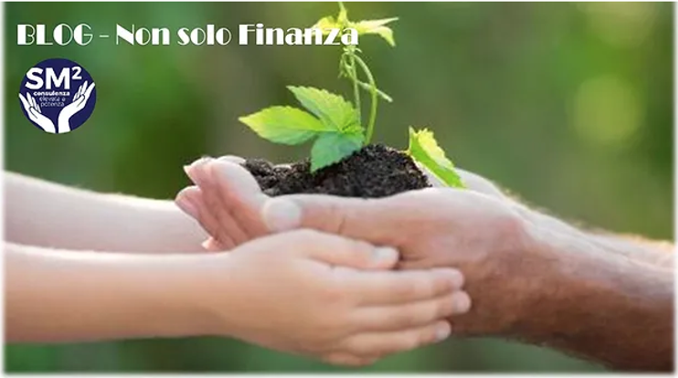 dalla semina al raccolto