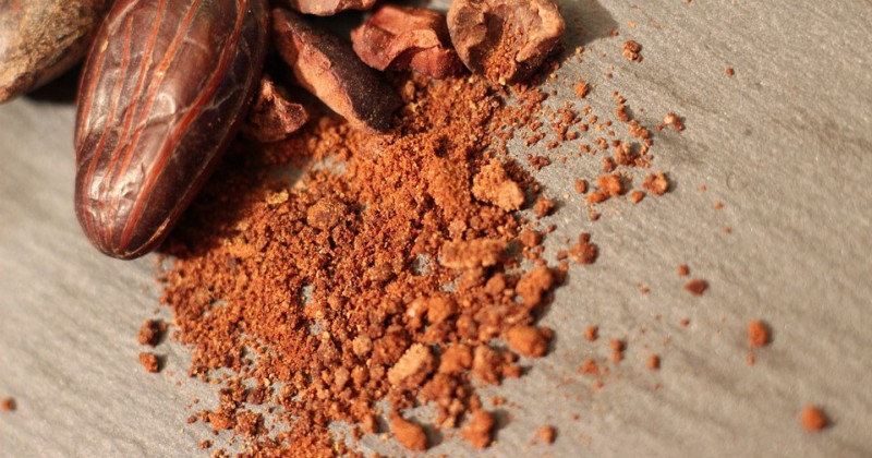 Semi di cacao