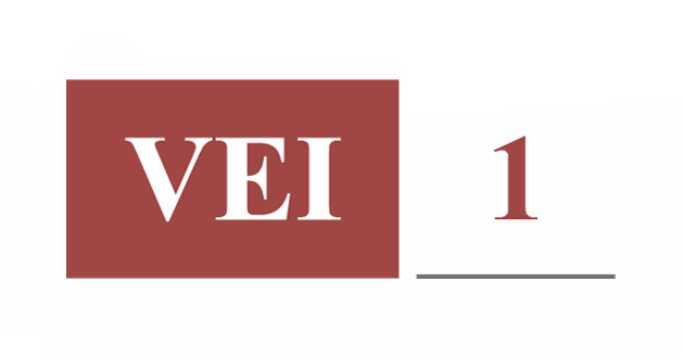 VEI 1 S.p.A.