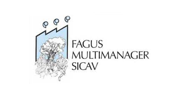 Fagus Multimanager Fagus Multimanager International Equity Dynamic B Cap.